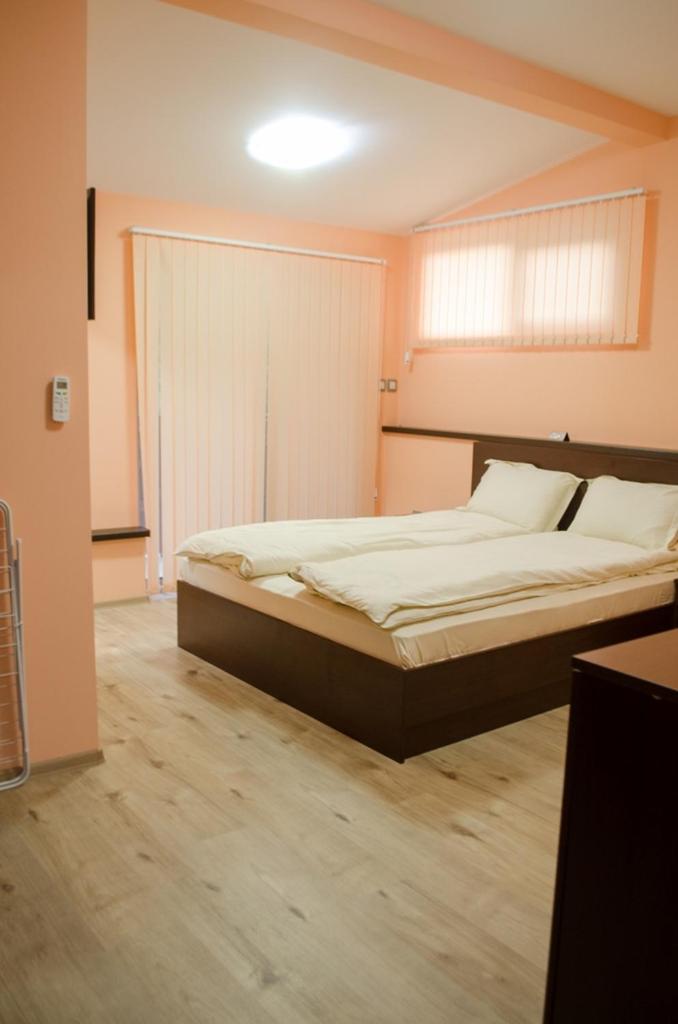 Guest House Dinevi 사파레바바냐 외부 사진